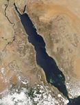 (Red Sea)